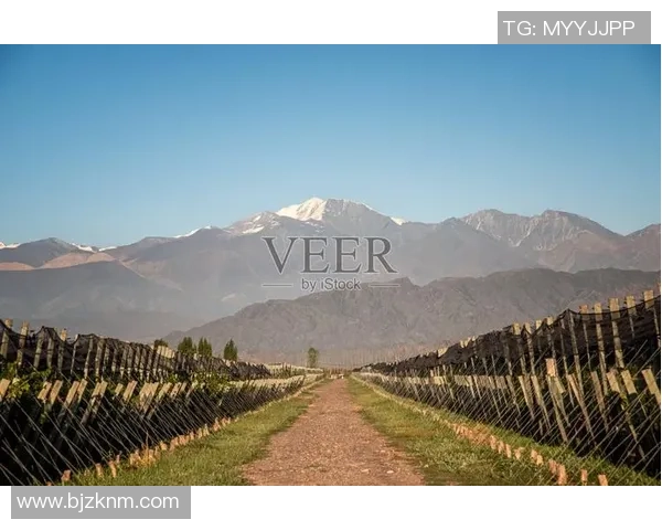 阿根廷门多萨省足球球星的崛起与影响力分析